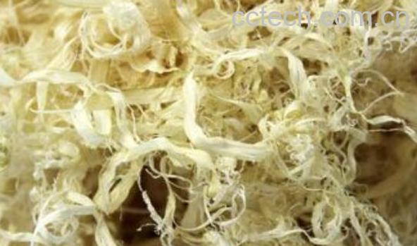 竹茹的功效与作用及禁忌-1