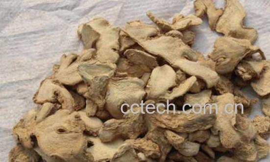 干姜泡水喝的功效与作用 干姜泡水喝的禁忌-1