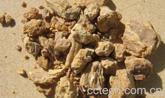 中药琥珀的功效与作用-0