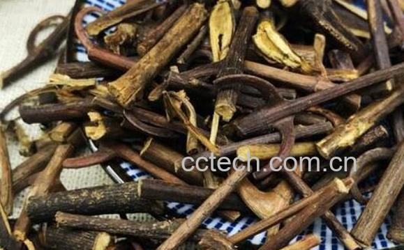 双钩藤根的功效与作用-1