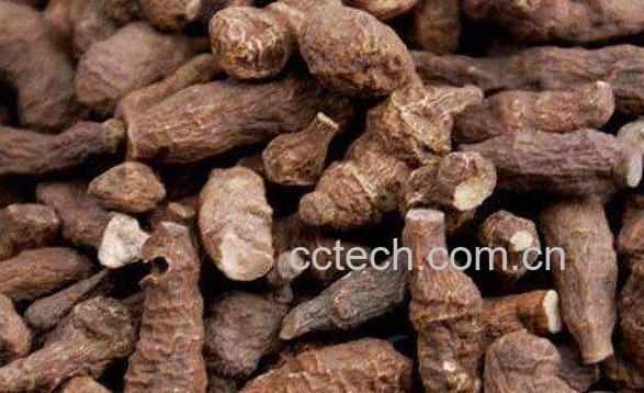 云实根的功效与作用及禁忌-0