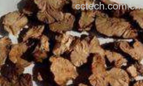 云实根的功效与作用及禁忌-1