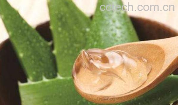 芦荟胶如何用 芦荟胶的常见用法-1