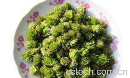 男人服用杜仲雄花的好处-0