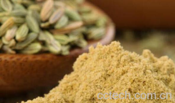 茴香籽粉的功效与作用-1