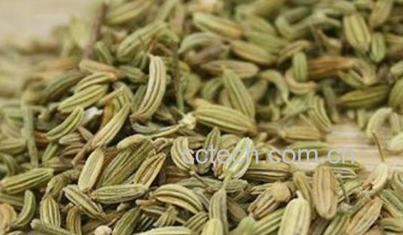 熟茴香籽的功效与作用-1