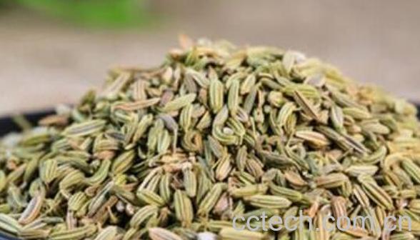 茴香籽水的功效与作用-0