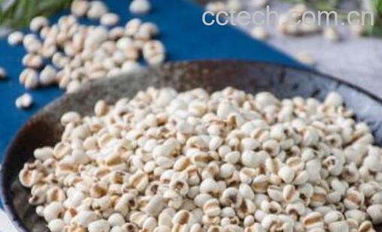 薏仁水的功效与作用及食用方法-0