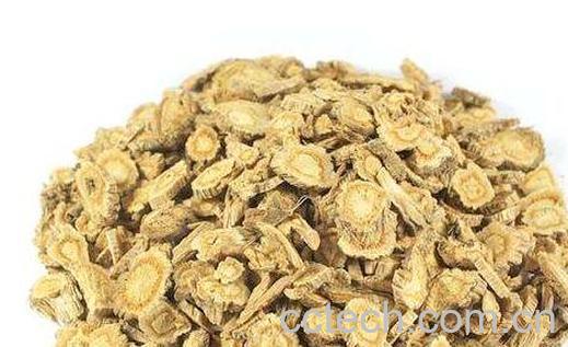 中药防风的功效与作用及副作用-0