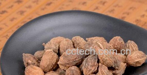 益智仁的功效与作用及副作用-0