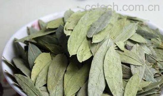 番泻叶怎么吃 番泻叶的服用方法-0