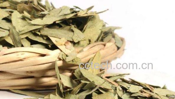 番泻叶怎么吃 番泻叶的服用方法-1