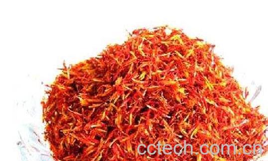 红花前胡的功效与作用-1