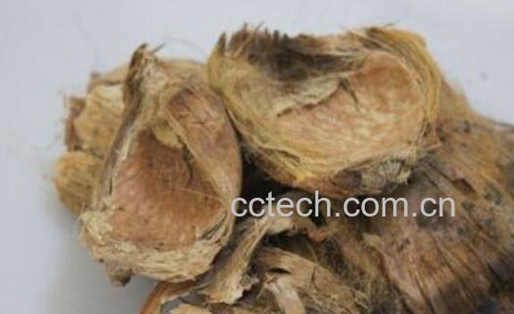 大腹皮的功效与作用 大腹皮的食用方法-0