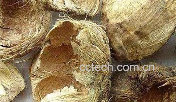 大腹皮的功效与作用 大腹皮的食用方法-1