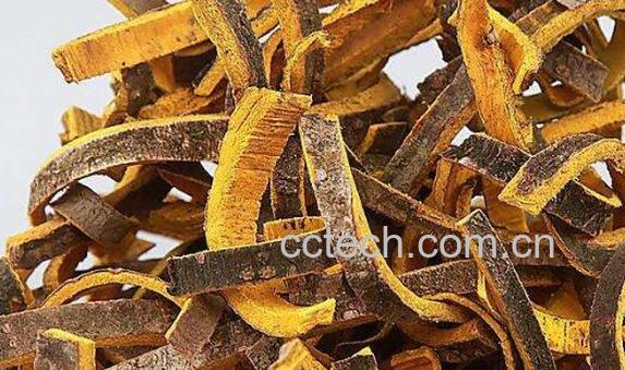 黄柏的功效与作用及禁忌-0