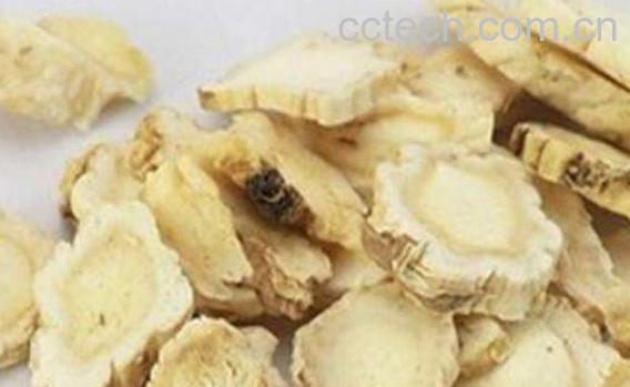 前胡桔梗的功效与作用-0