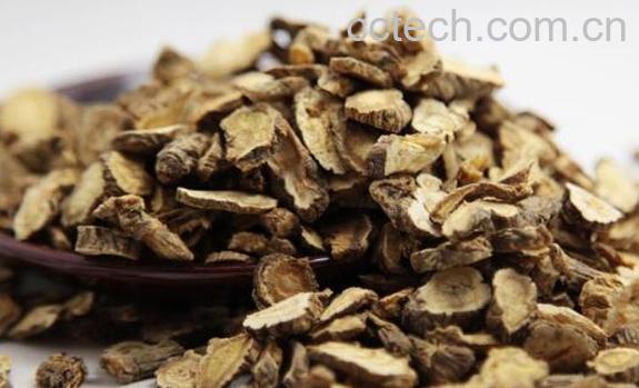 前胡的功效与作用及禁忌-1