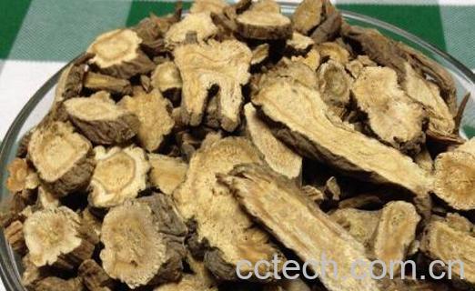 前胡的功效与作用及禁忌-0