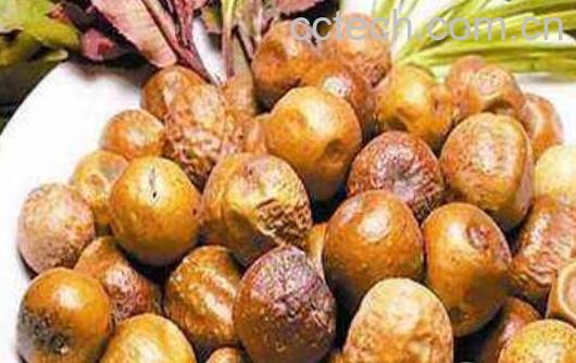 川楝子的功效与作用及禁忌-0