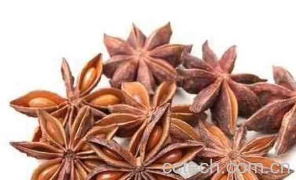 八角茴香的功效与作用 八角茴香的禁忌-0