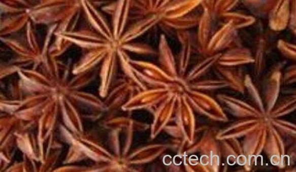 八角茴香的功效与作用 八角茴香的禁忌-1