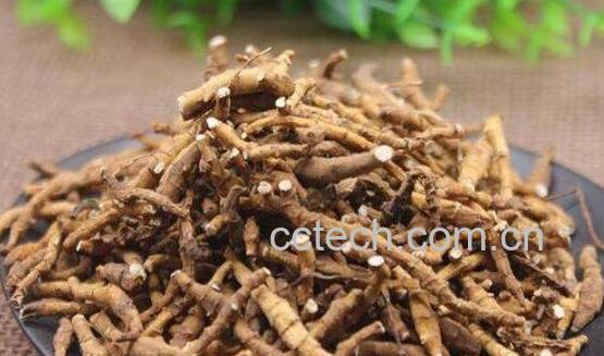 九节菖蒲的功效与作用 九节菖蒲的药用价值-0