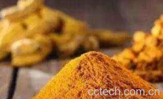 姜黄和大黄的区别-1