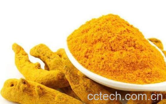 姜黄和大黄的区别-0
