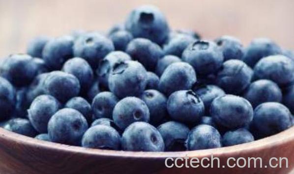 乌饭子泡酒有什么功效-1