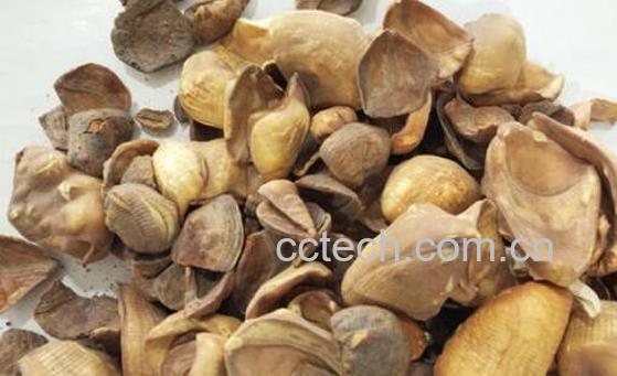 甲珠粉怎么冲服 甲珠粉对女人有好处吗-0