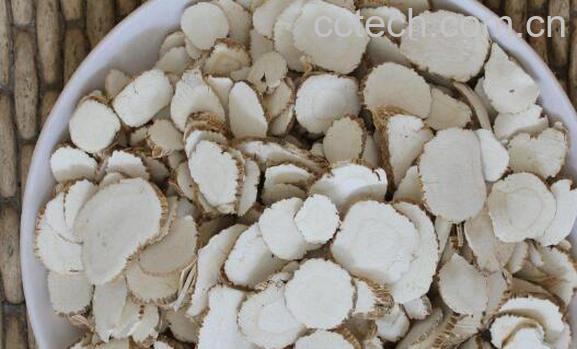 白芷敷脸的功效与作用 白芷敷脸的害处-1