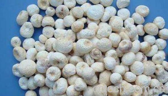 清半夏的功效与作用有哪些-1