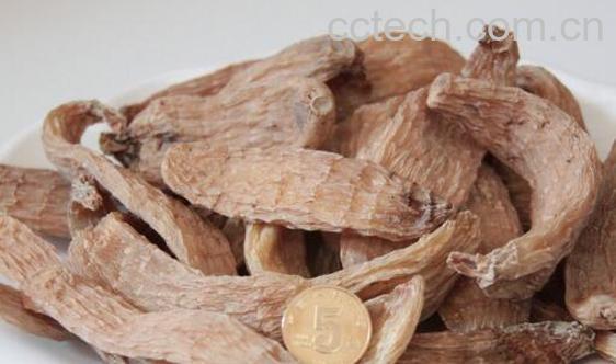 女人吃天麻的好处与禁忌-0