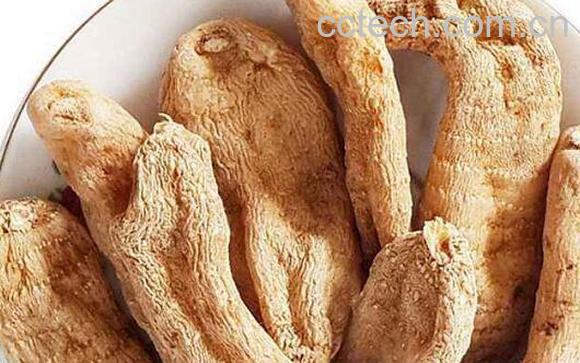 女人吃天麻的好处与禁忌-1