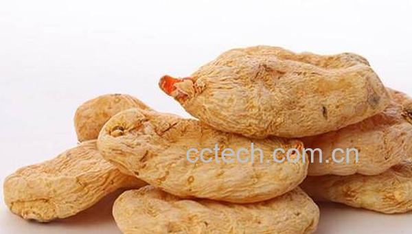 天麻的功效与作用 吃天麻的禁忌-0