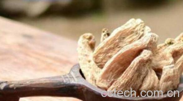 天麻泡酒的功效与作用-0