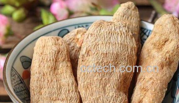 天麻泡酒的功效与作用-1