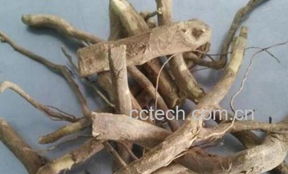 白石榴根的功效与作用及食用方法是什么-0