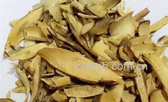 白石榴根的功效与作用及食用方法是什么-1