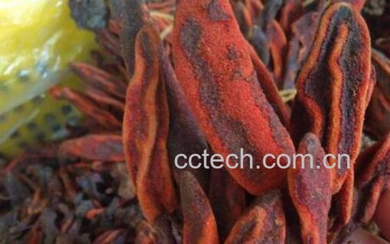 鹿仙草粉的功效与作用及食用方法-1