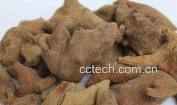 百药煎的功效与作用及食用方法-0