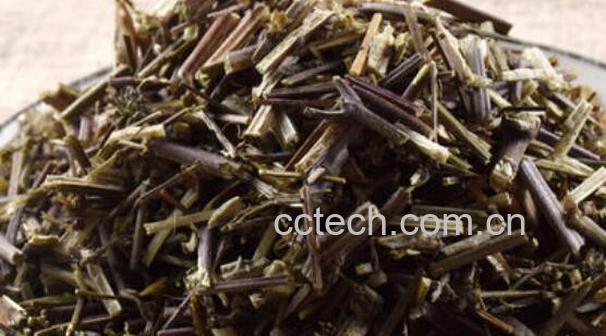 荆芥穗与荆芥功效的区别-0