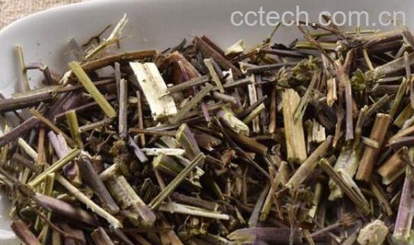 荆芥炭的功效与作用及禁忌-0