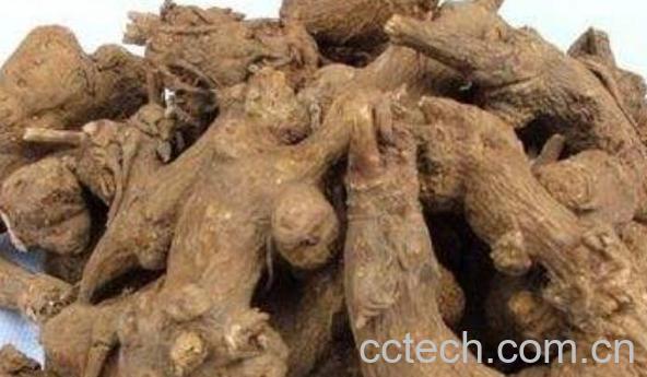 生赤芍的功效与作用-1