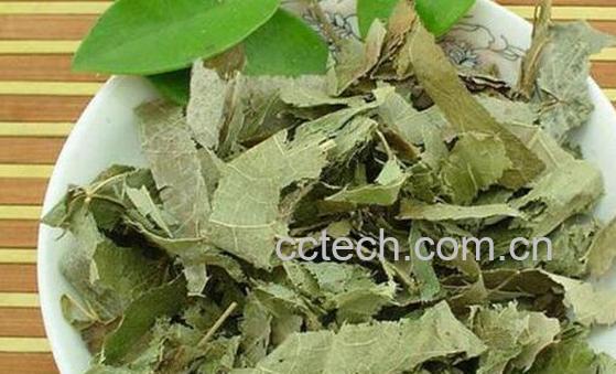 霪羊藿的功效与作用及禁忌-1