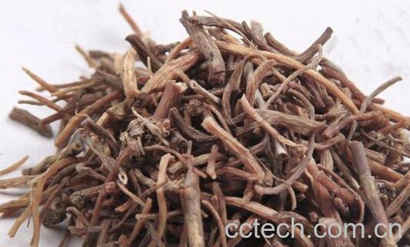 龙胆草的功效与作用及药用价值-1