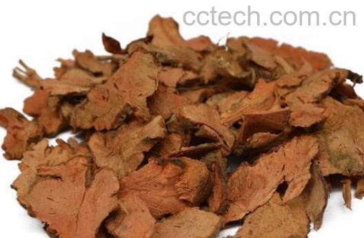 荞麦根的作用和功效 荞麦根的药用价值-1