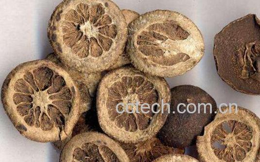 木香枳壳的功效与作用-1