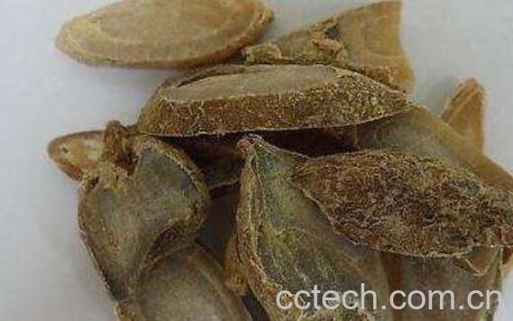 郁金的功效与作用 郁金的副作用-1